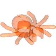Insect, Spider