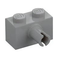 Brick Special 1 x 2 with Pin