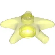 Animal, Starfish