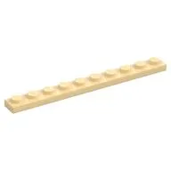 Plate 1 x 10