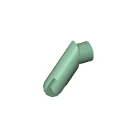 Arm, Right, Juvenile (Rotta)