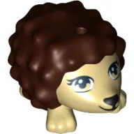 Animal, Hedgehog with Eyelashes and Dark Brown Spines Print