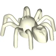 Insect, Spider with Elongated Tail Section