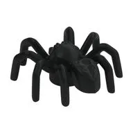 Insect, Spider with Elongated Tail Section