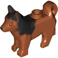 Animal, Dog, Husky with Black Eyes, Black Nose Print and Marbled Black Ears and Back Pattern