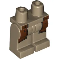 Hips and Dark Tan Legs with Reddish Brown Patches