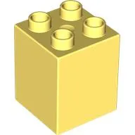 Duplo Brick 2 x 2 x 2