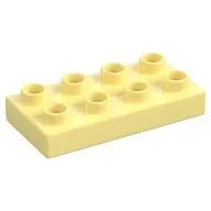 Duplo Plate 2 x 4