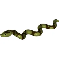 Animal, Snake, Large with Raised Head with Dark Brown Scales Print