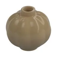 Plant, Pumpkin