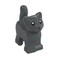 Animal, Cat, Kitten, Short Tail, Black Eyes and Nose Print