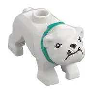 Animal, Dog, Bulldog with Tan Fangs, Dark Turquoise Collar