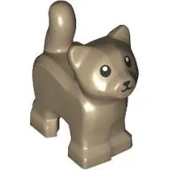 Animal, Cat, Kitten, Short Tail, Black Eyes and Nose Print