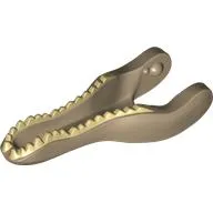 Animal Body Part, Dinosaur, Baryonyx Lower Jaw with Tan Teeth