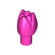 Plant, Flower, Tulip