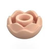 Plant, Flower, Peony Rose with 2 Layers