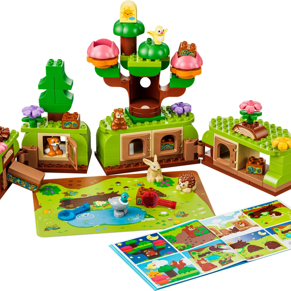 Discovery Forest with Wild Animals
