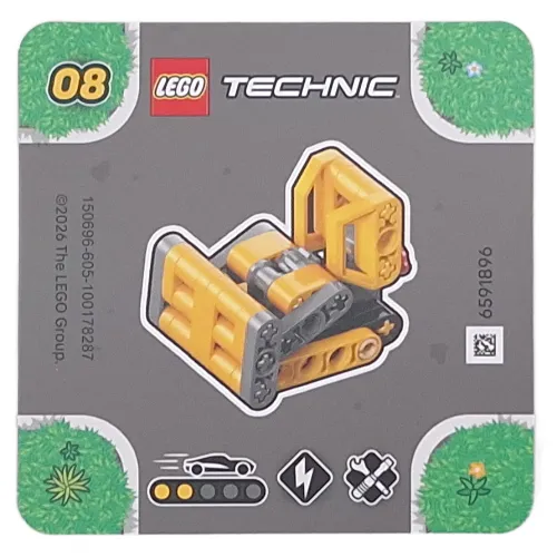 Activity Card for Set 42233-8