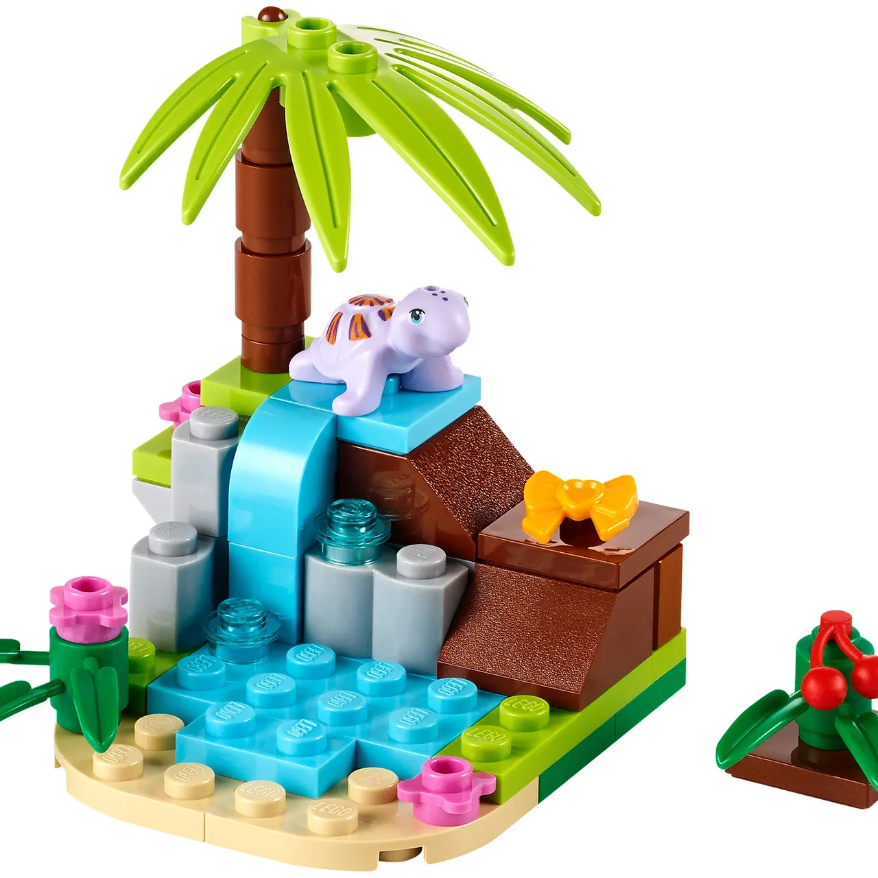 Turtle's Little Paradise