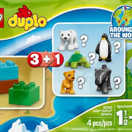 Wildlife Polar Bear