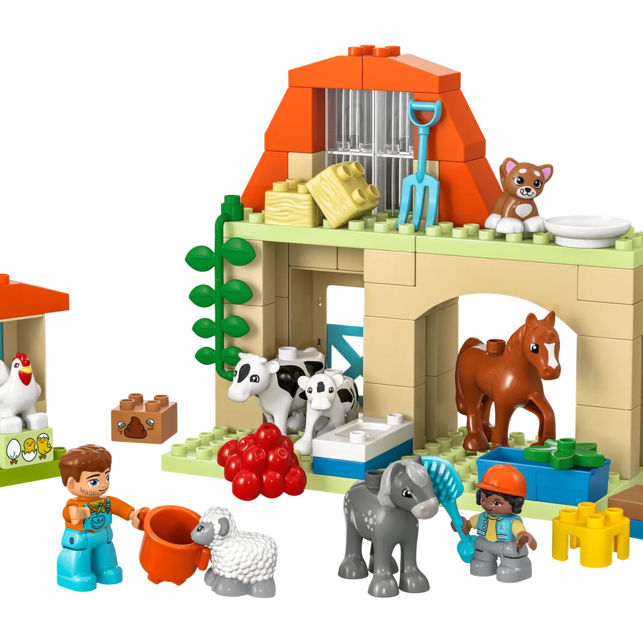 Caring for Animals at the Farm