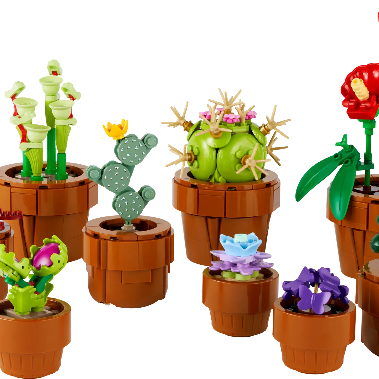 Tiny Plants