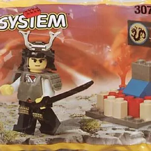 Ninja Shogun's Small Fort