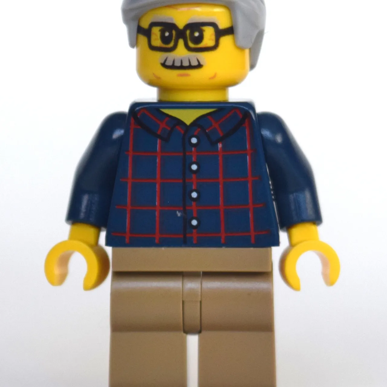 Man, Dark Blue Plaid Shirt, Dark Tan Legs, Light Bluish Gray Hair and Moustache, Glasses