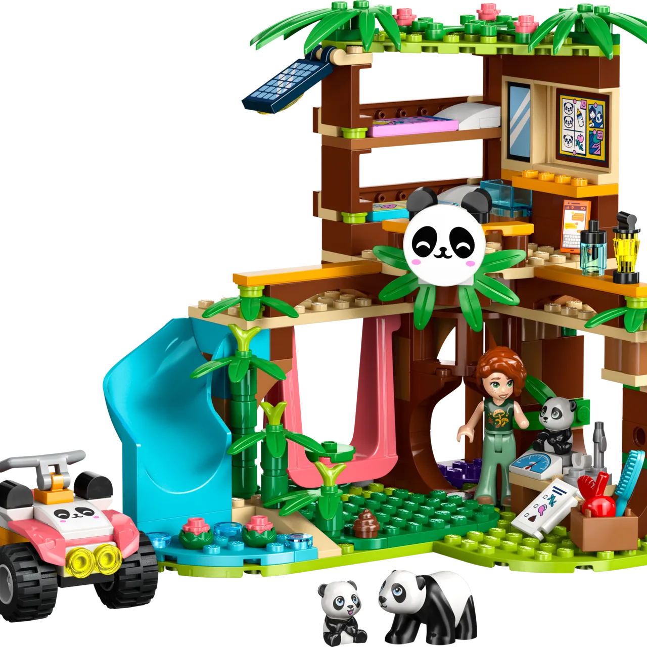 Panda Sanctuary Animal Care