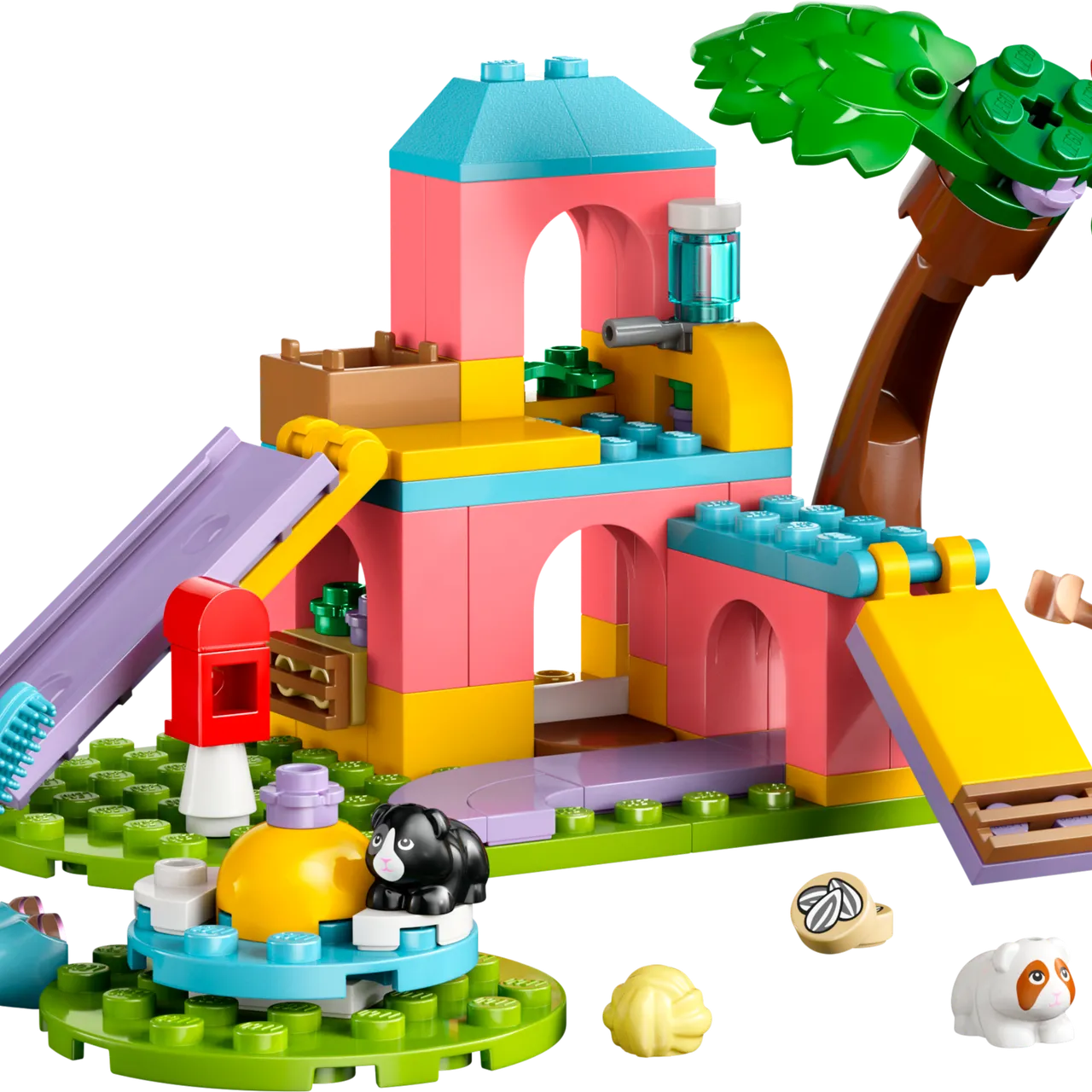 Guinea Pig Playground