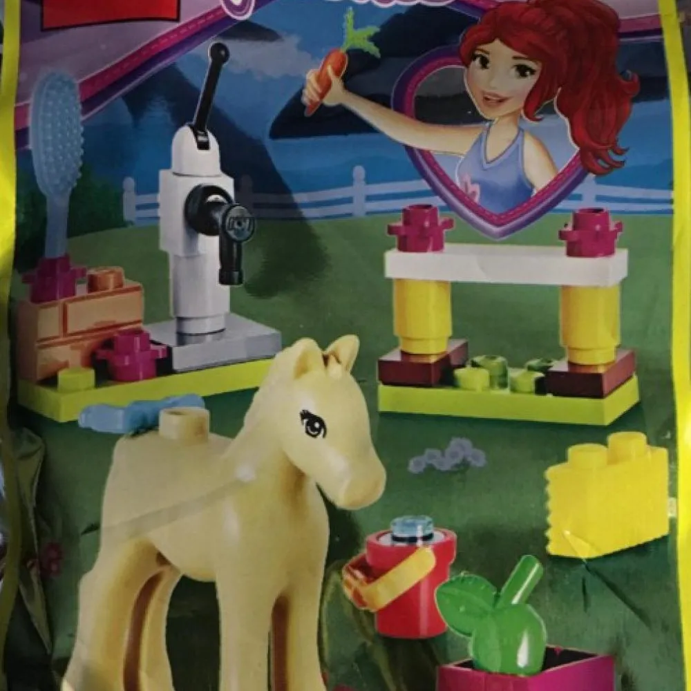 Pony Grooming Kit