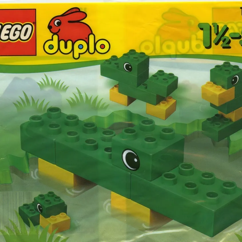 Crocodile