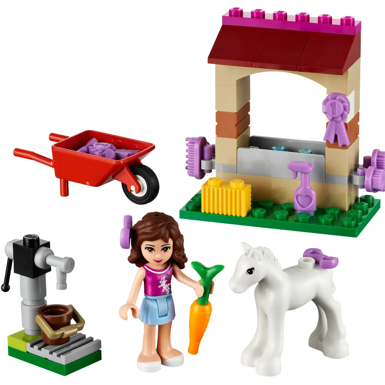 Olivia's Newborn Foal