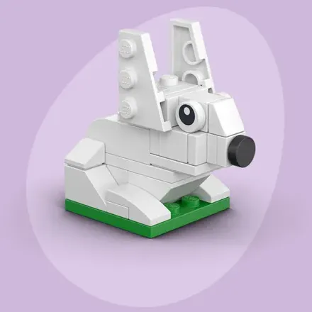 Bunny