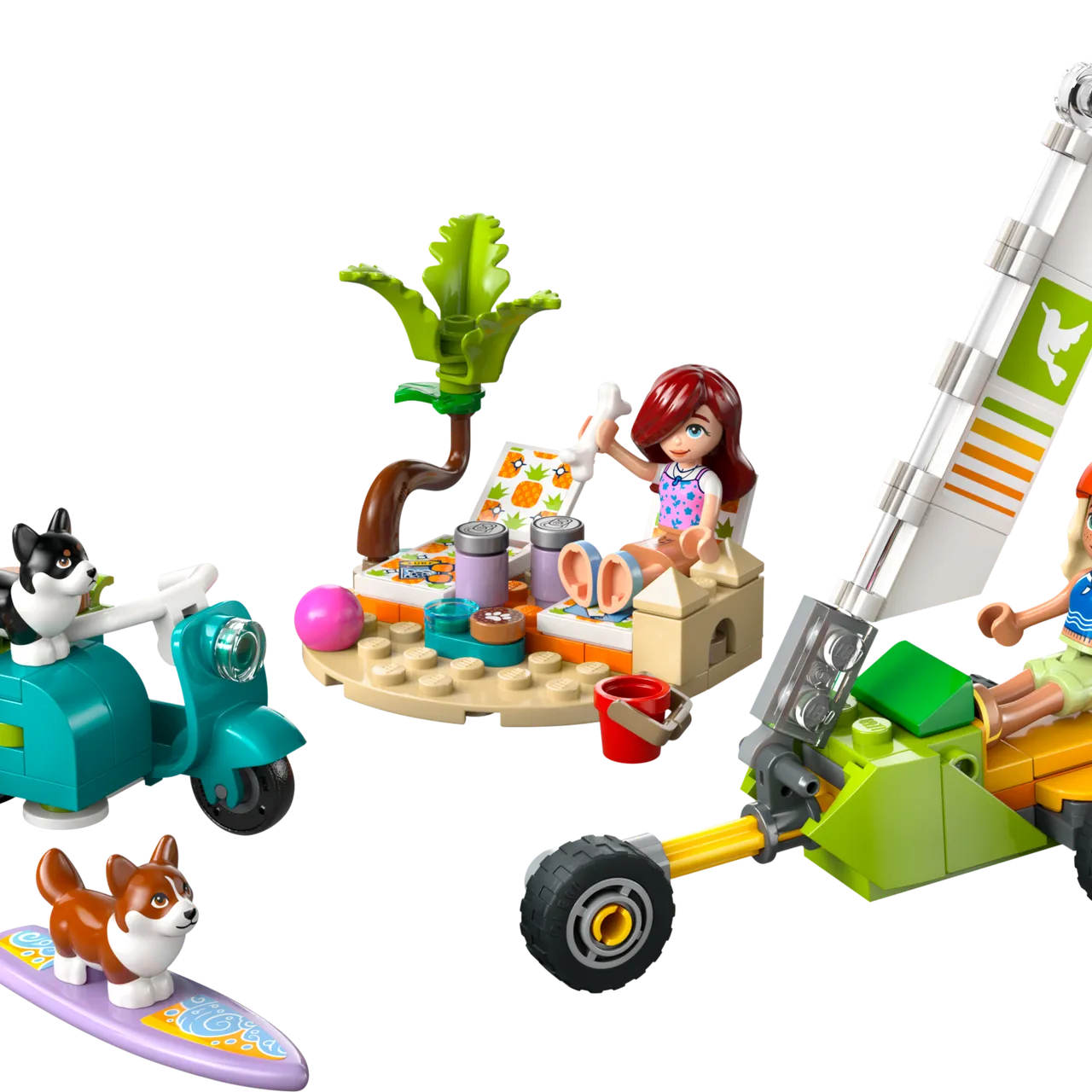 Surfing Dogs and Scooter Adventure