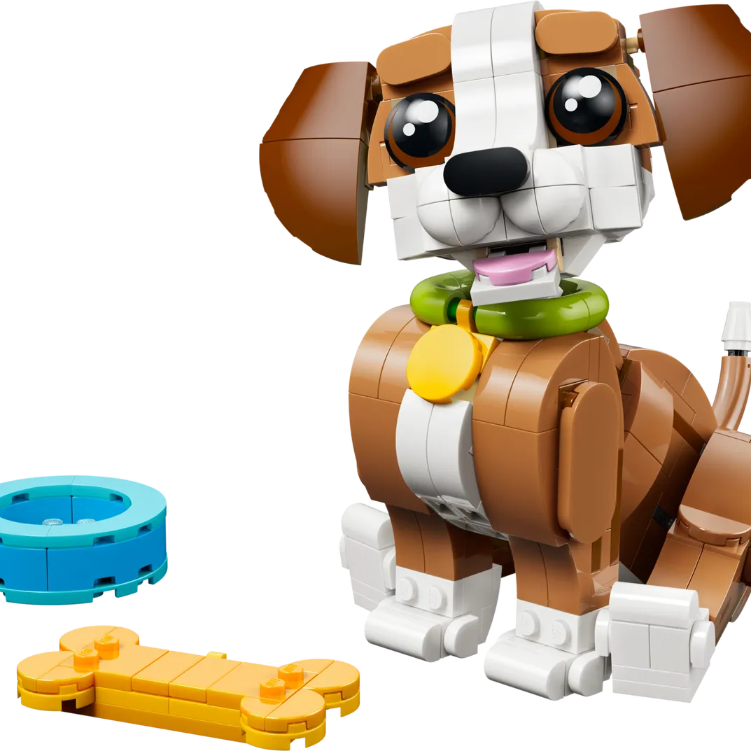 Cute Animals: Playful Puppy Dog