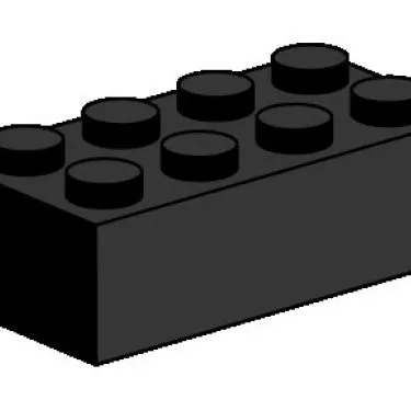2 x 4 Black Bricks