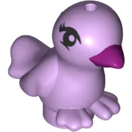 Animal, Bird, Two Feet with Magenta Beak and Black Eyes Pattern