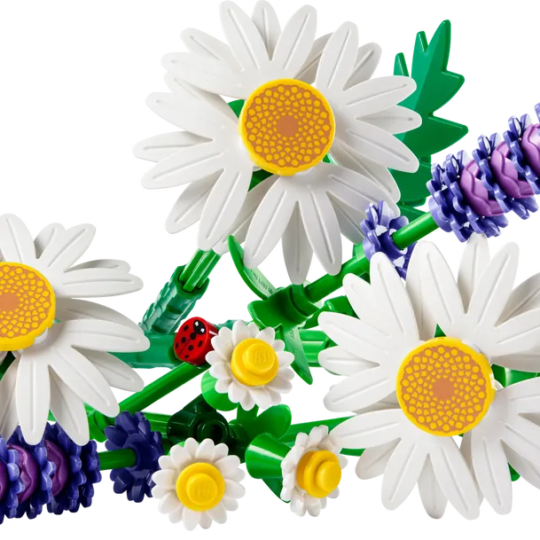 Daisies