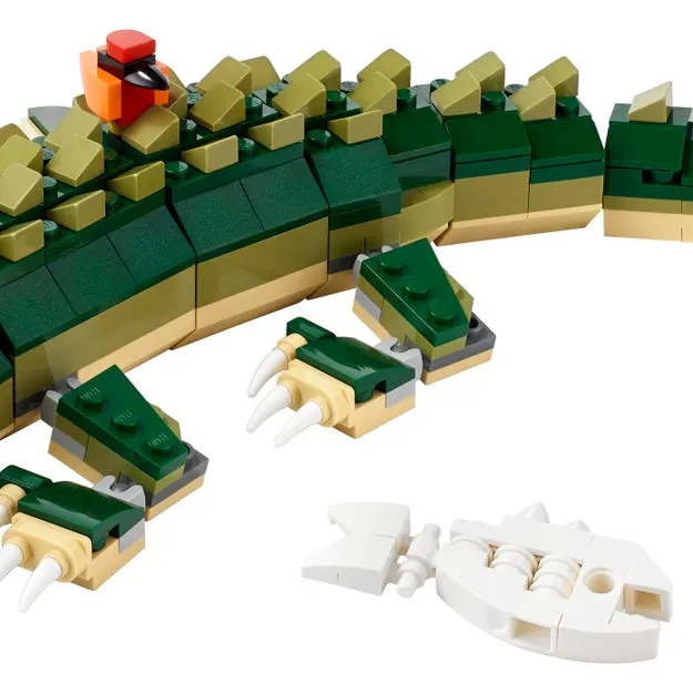 Crocodile