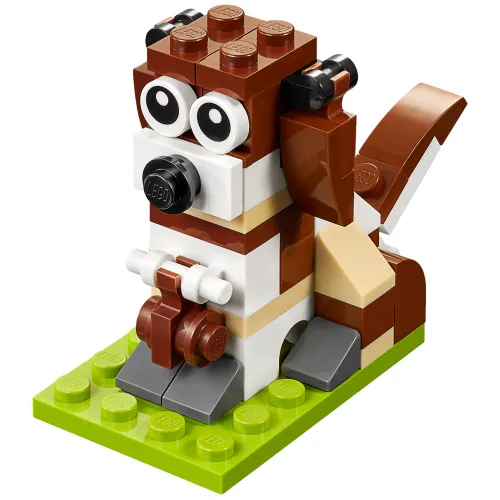 St. Bernard Dog
