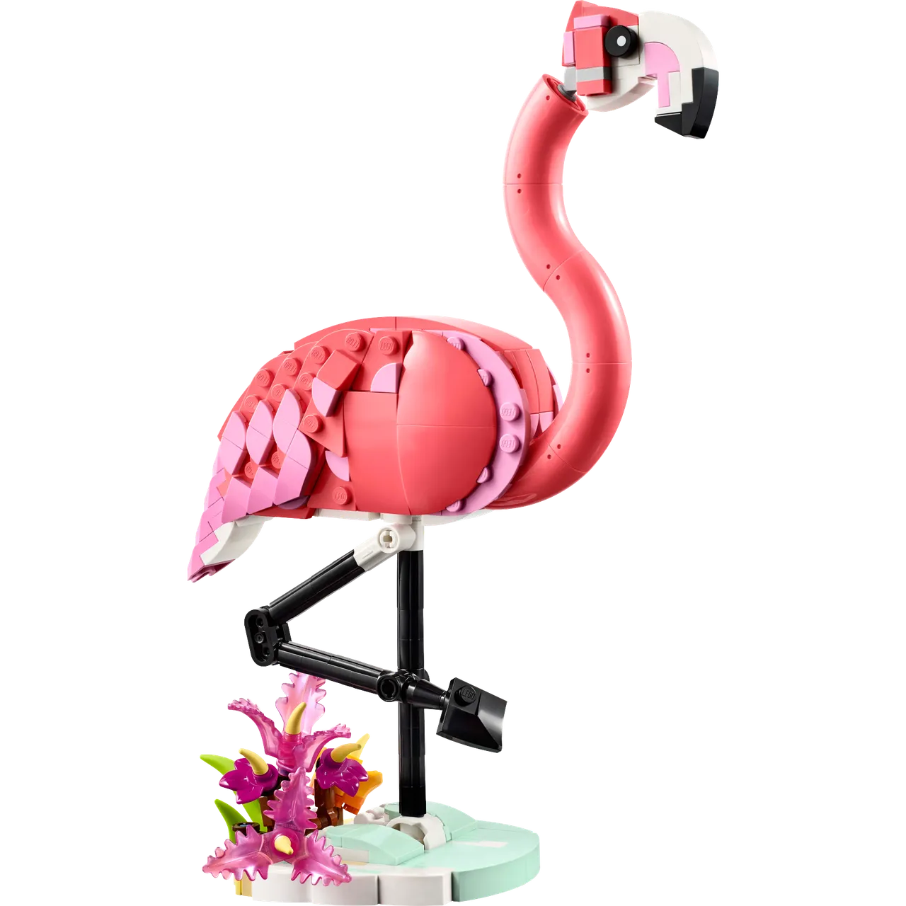 Wild Animals: Pink Flamingo