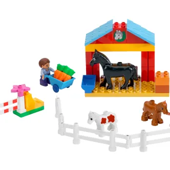 Horse Stable