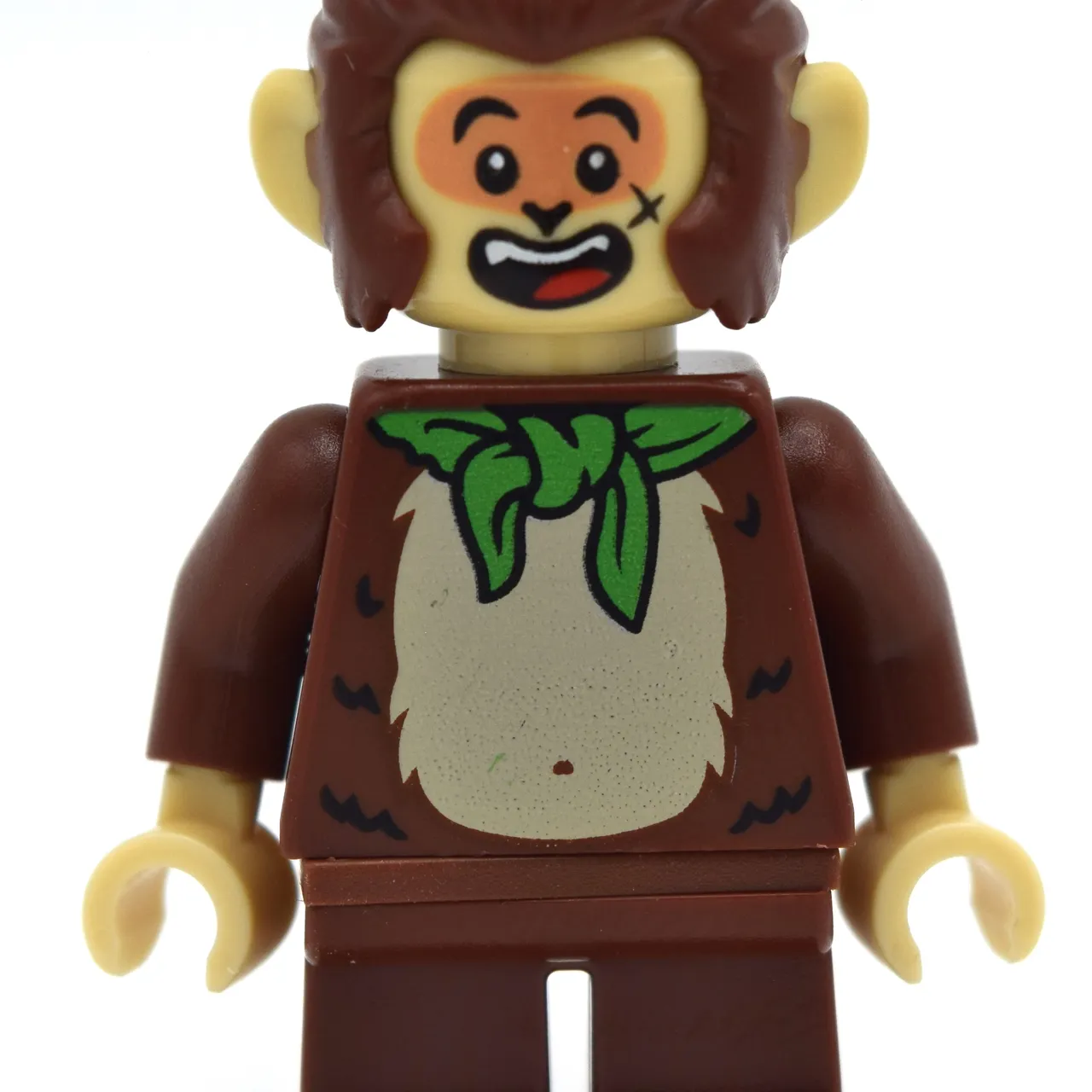 Brother Monkey
