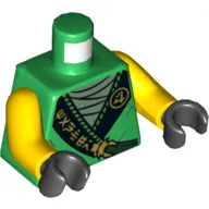 Torso Robe with Black Trim, Sand Green Undershirt Print, Yellow Arms, Black Hands, 'MANTER' version