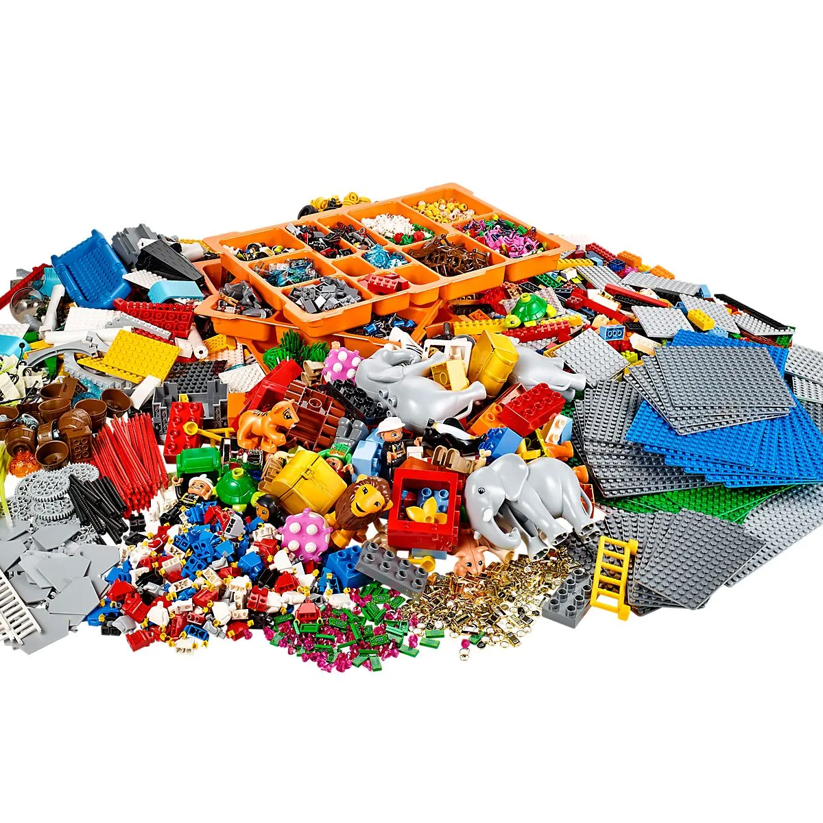 Identity and Landscape Kit