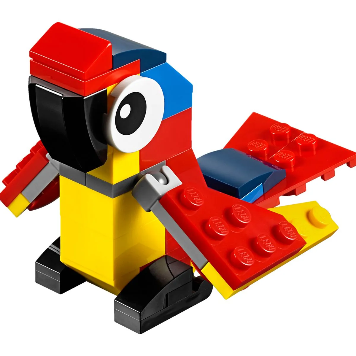 Parrot