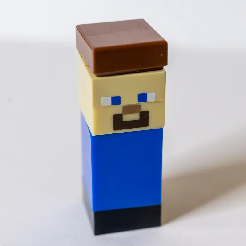 Steve - Micro