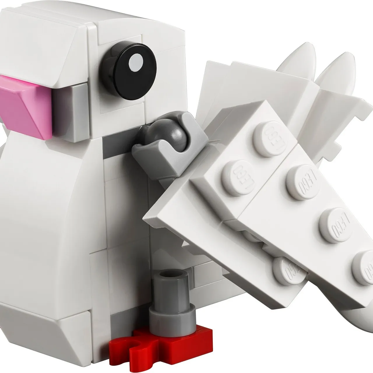 Human Rights Day Dove