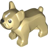 Animal, Dog, French Bulldog, Grumpy Face with Black Nose and Mouth, White Spot on Forehead Print